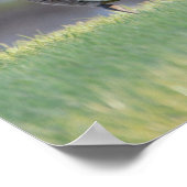 Gänse mit Babys Foto Poster (Ecke)