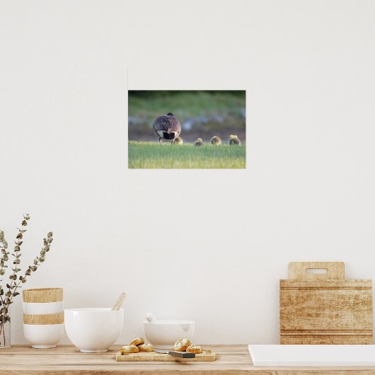Gänse mit Babys Foto Poster (Küche)