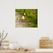 Gänse mit Goslings Poster (Küche)