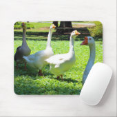 Gänse Mousepad (Mit Mouse)