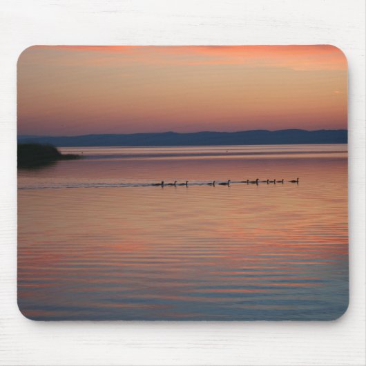 Gänse Mousepad (Vorne)