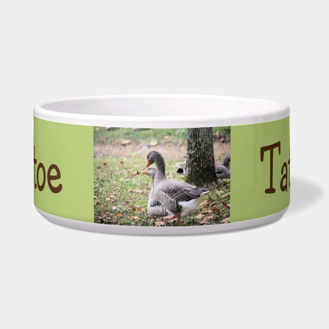 Gänse Napf (Vorderseite)