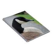 Gänse Notizblock (Rechte Seite)