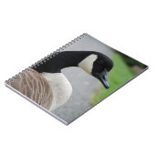 Gänse Notizblock (Linke Seite)