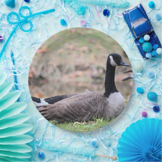 Gänse Pappteller (Party)