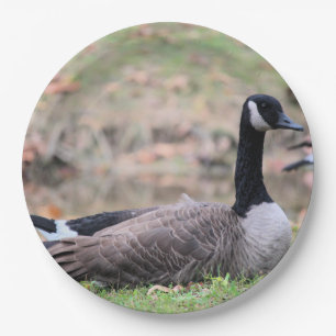 Gänse Pappteller