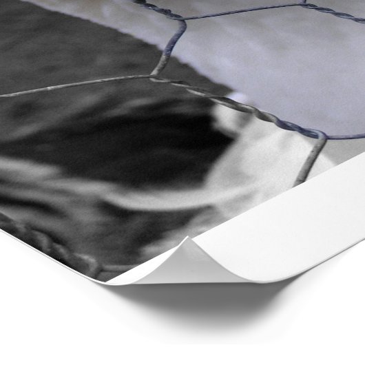 Gänse Poster (Ecke)