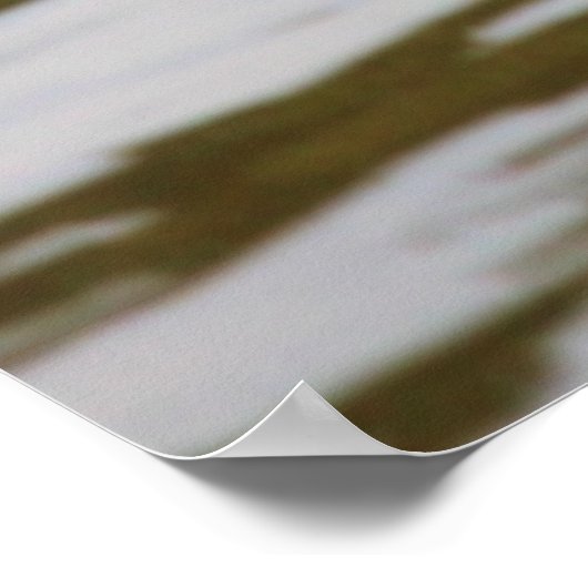 Gänse Poster (Ecke)