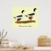Gänse Poster (Küche)
