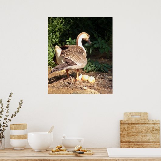 Gänse Poster (Küche)