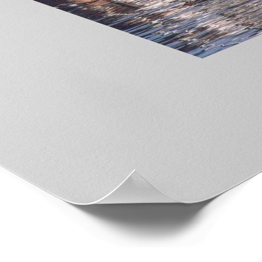 Gänse Poster (Ecke)