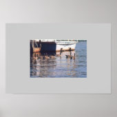 Gänse Poster (Vorne)