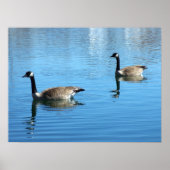 Gänse Poster (Vorne)