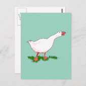 Gänse Postkarte (Vorne/Hinten)