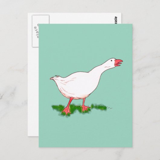 Gänse Postkarte (Vorne/Hinten)