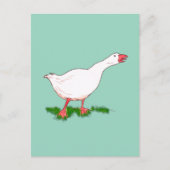 Gänse Postkarte (Vorderseite)