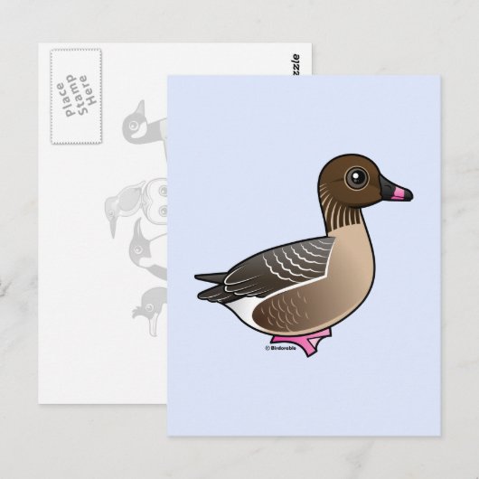 Gänse Postkarte (Vorne/Hinten)