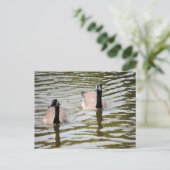 Gänse Postkarte (Stehend Vorderseite)