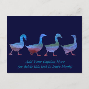 Gänse Postkarte