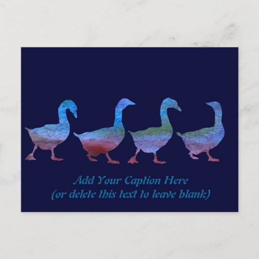 Gänse Postkarte (Vorderseite)