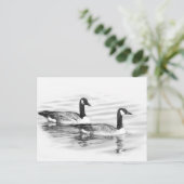 Gänse Postkarte (Stehend Vorderseite)