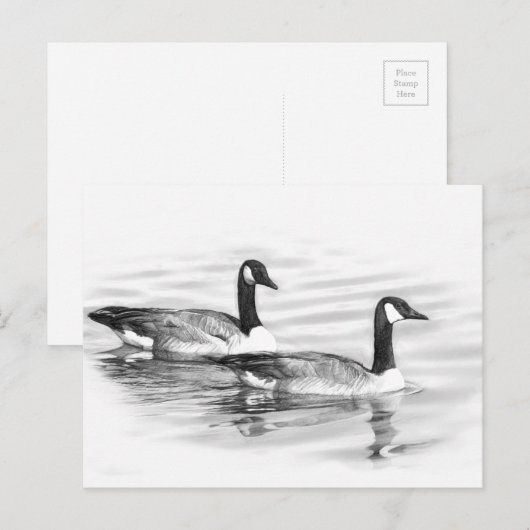 Gänse Postkarte (Vorne/Hinten)