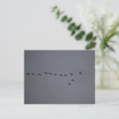 Gänse- Postkarte (Stehend Vorderseite)
