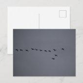 Gänse- Postkarte (Vorne/Hinten)