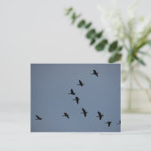Gänse Postkarte (Stehend Vorderseite)
