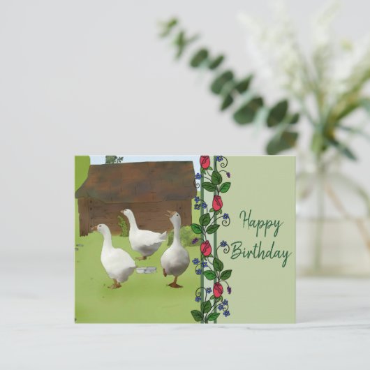 Gänse Postkarte (Stehend Vorderseite)