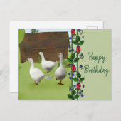 Gänse Postkarte (Vorne/Hinten)