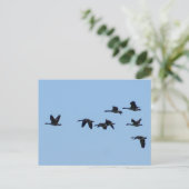 Gänse Postkarte (Stehend Vorderseite)