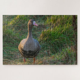 Gänse Puzzle