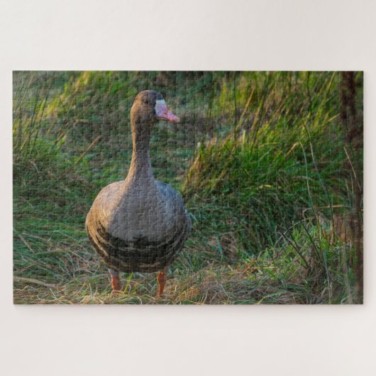 Gänse Puzzle (Horizontal)