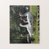 Gänse Puzzle (Vertikal)