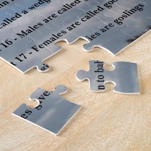 GÄNSE PUZZLE (Seite)