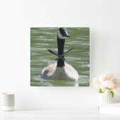 Gänse Quadratische Wanduhr (Zuhause)