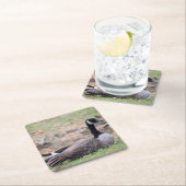 Gänse Rechteckiger Pappuntersetzer (Vor Ort)