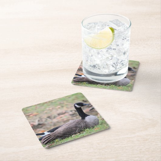 Gänse Rechteckiger Pappuntersetzer (Vor Ort)