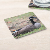 Gänse Rechteckiger Pappuntersetzer (angewinkelt)