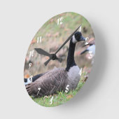 Gänse Runde Wanduhr (Winkel)