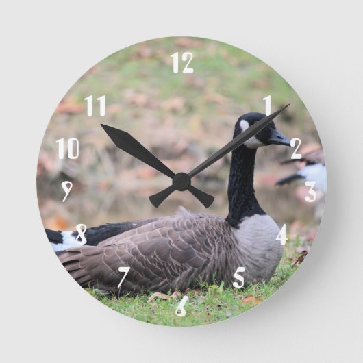 Gänse Runde Wanduhr (Vorderseite)