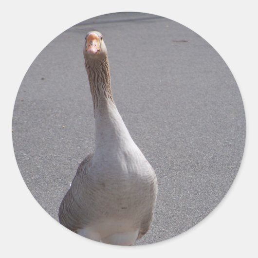 Gänse! Runder Aufkleber (Vorderseite)