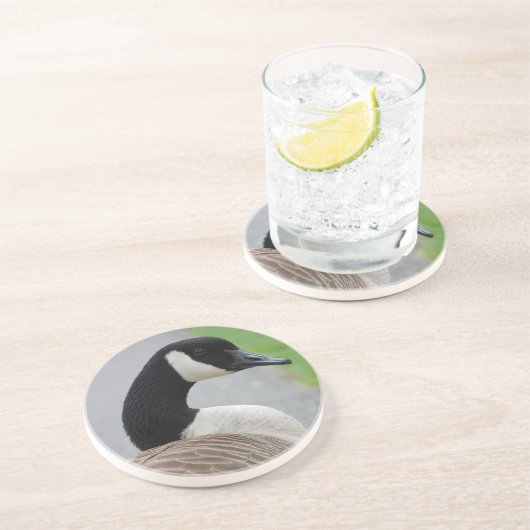 Gänse Sandstein Untersetzer (Seite)