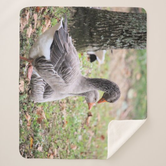 Gänse Sherpadecke (Vorderseite)