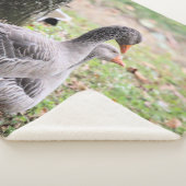 Gänse Sherpadecke (3/4)