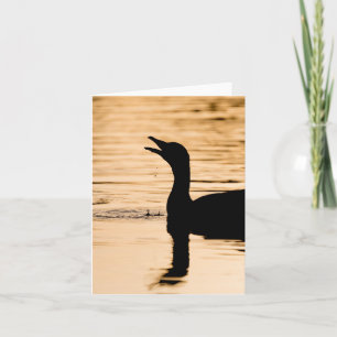 Gänse Silhouette Natur Foto Karte