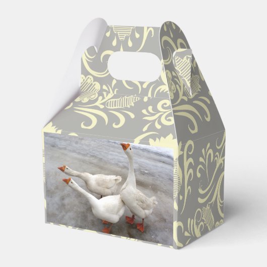 Gänse sind lustig geschenkschachtel (Rückseite)