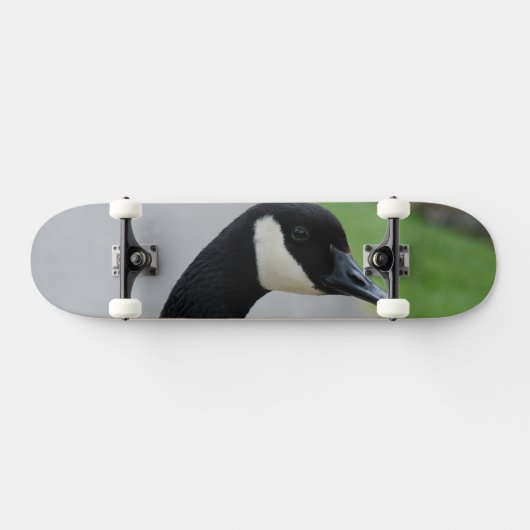 Gänse Skateboard (Horizontal)