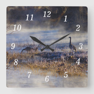 Gänse sprechen über eine Break Wall Clock Quadratische Wanduhr